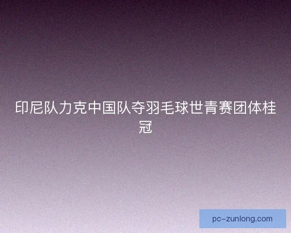 印尼队力克中国队夺羽毛球世青赛团体桂冠